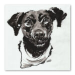 Pet portrait of Hobo the dog
