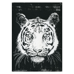 Print of a Tiger